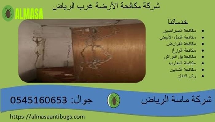شركة مكافحة الأرضة غرب الرياض 0545160653