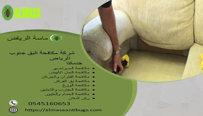 شركة مكافحة البق جنوب الرياض 0545160653