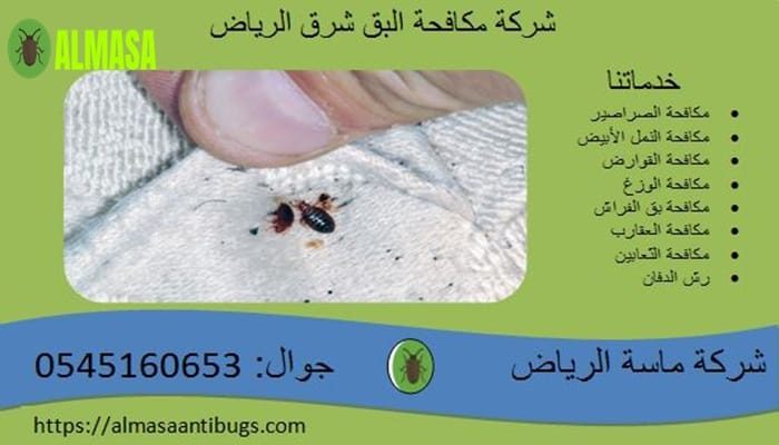 شركة مكافحة البق شرق الرياض 0545160653