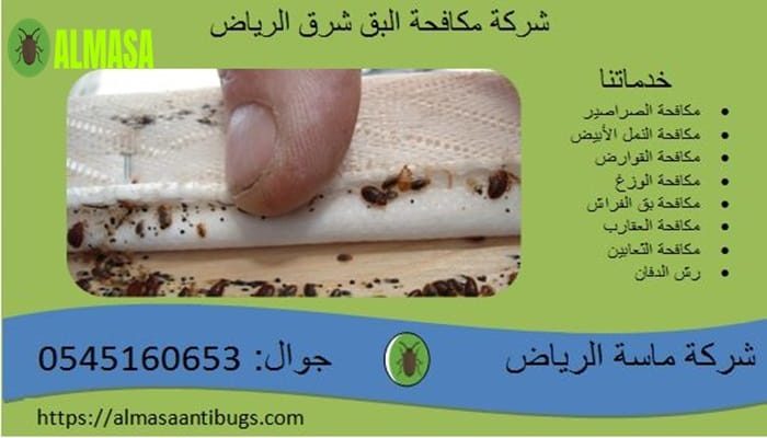 شركة مكافحة البق شرق الرياض 0545160653