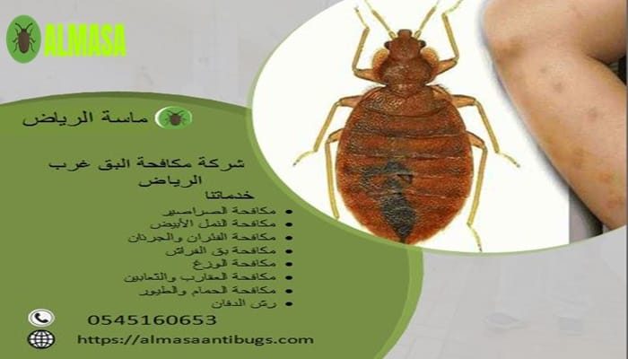 شركة مكافحة البق غرب الرياض 0545160653