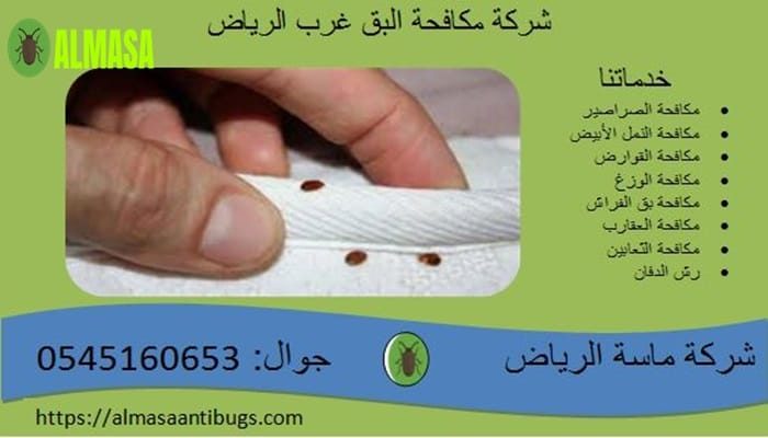 شركة مكافحة البق غرب الرياض 0545160653