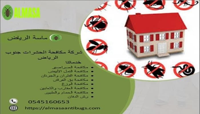شركة مكافحة الحشرات جنوب الرياض 0545160653