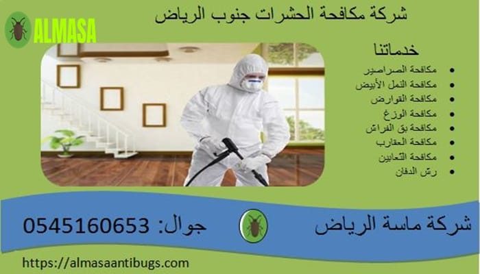 شركة مكافحة الحشرات جنوب الرياض 0545160653