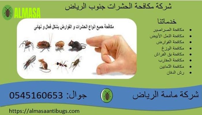 شركة مكافحة الحشرات جنوب الرياض 0545160653