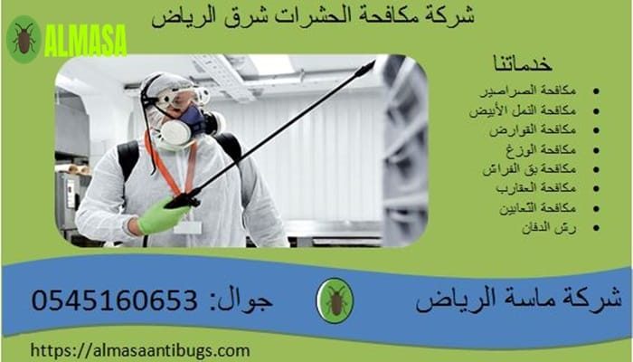 شركة مكافحة الحشرات شرق الرياض 0545160653 شركة مكافحة الحشرات شرق الرياض 0545160653