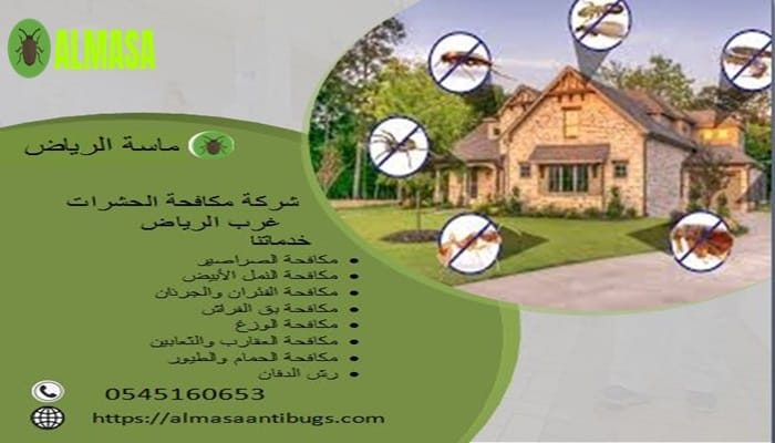 شركة مكافحة الحشرات غرب الرياض 0545160653