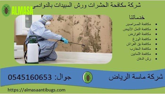 شركة مكافحة الحشرات ورش المبيدات بالدوادمى