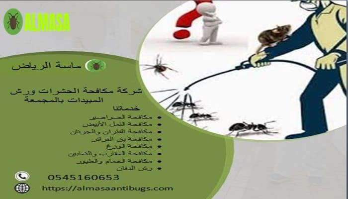 شركة مكافحة حشرات ورش مبيدات بالمجمعة