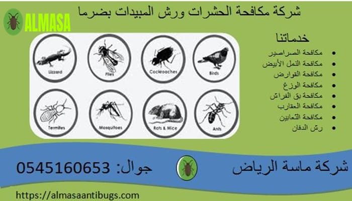 شركة مكافحة حشرات ورش مبيدات بضرما 0545160653