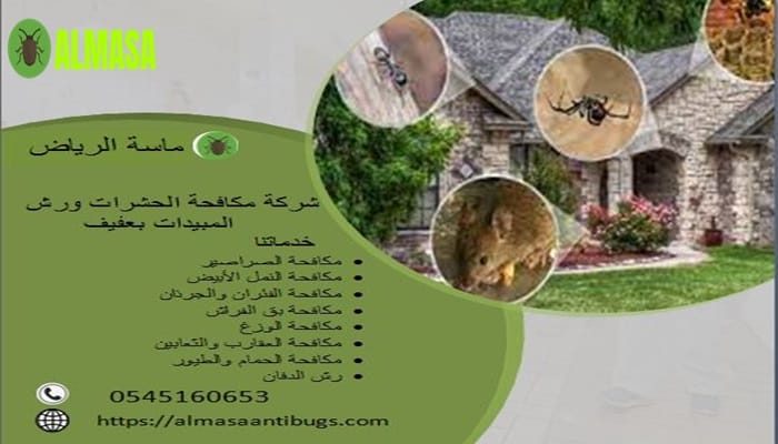 شركة مكافحة حشرات ورش المبيدات بعفيف | 0545160653