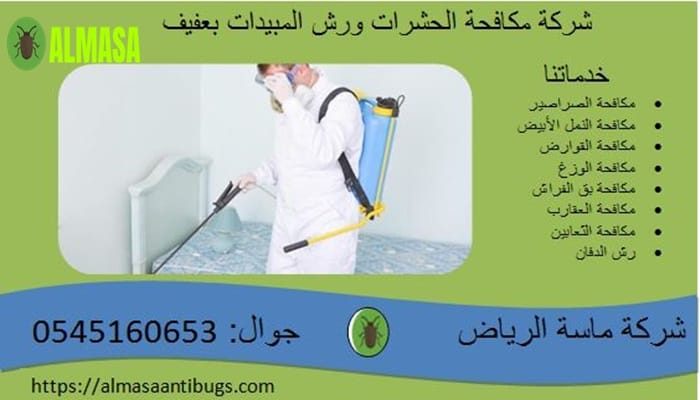 شركة مكافحة حشرات ورش المبيدات بعفيف | 0545160653