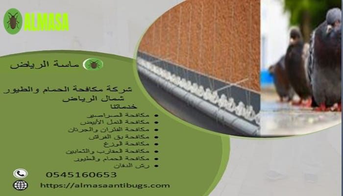 شركة مكافحة الحمام شمال الرياض 0545160653
