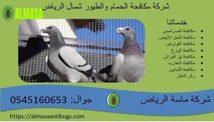 شركة مكافحة الحمام شمال الرياض 0545160653