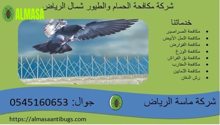 شركة مكافحة الحمام شمال الرياض 0545160653