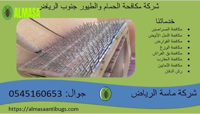 شركة مكافحة الحمام جنوب الرياض 0545160653