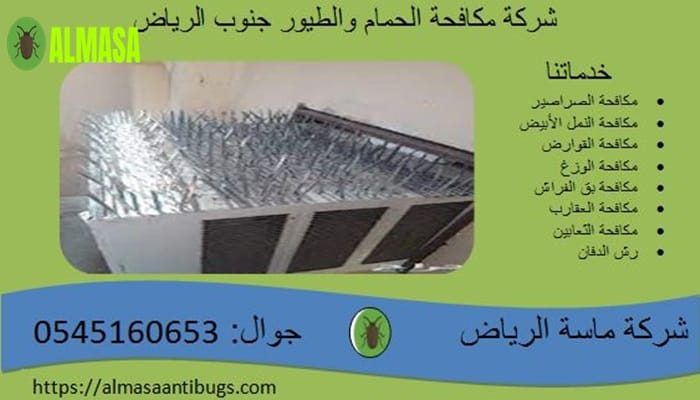 شركة مكافحة الحمام جنوب الرياض 0545160653