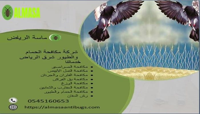 شركة مكافحة الحمام شرق الرياض 0545160653