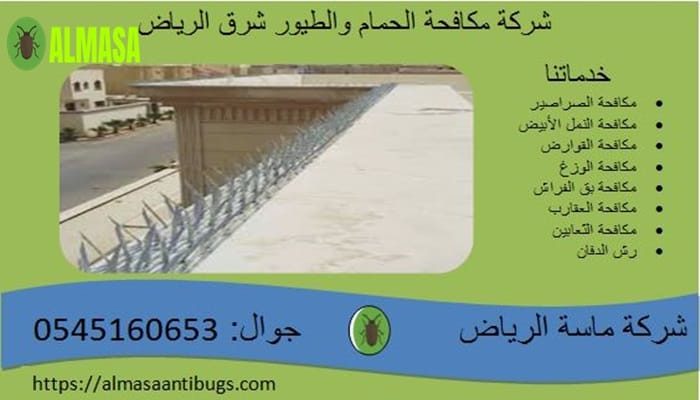 شركة مكافحة الحمام شرق الرياض 0545160653