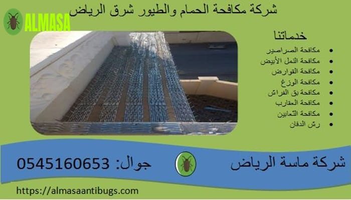 شركة مكافحة الحمام شرق الرياض 0545160653