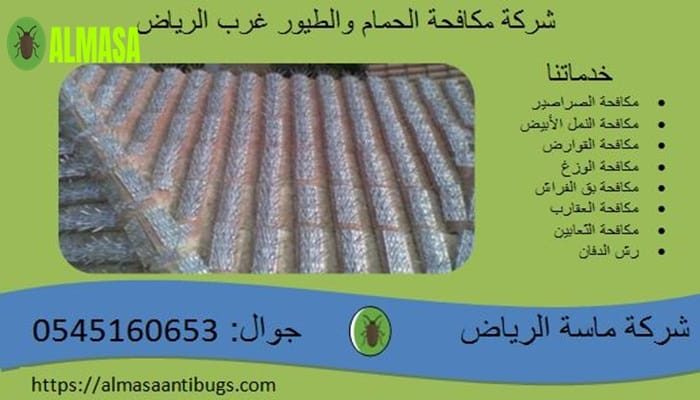 شركة مكافحة الحمام غرب الرياض 0545160653