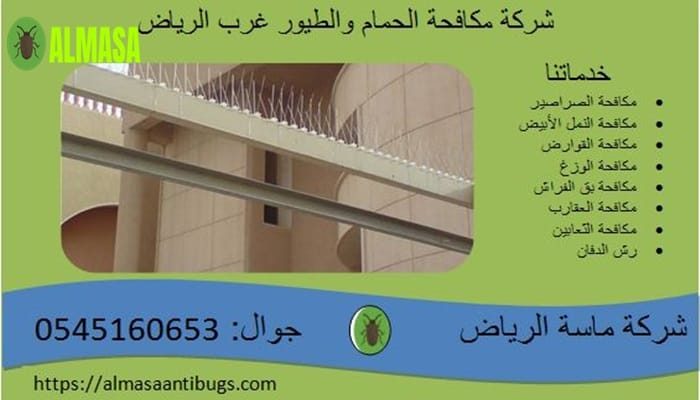 شركة مكافحة الحمام غرب الرياض 0545160653