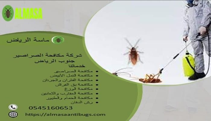 شركة مكافحة الصراصير جنوب الرياض 0545160653