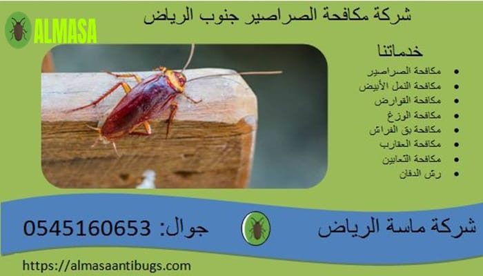 شركة مكافحة الصراصير جنوب الرياض 0545160653