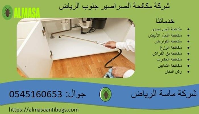 شركة مكافحة الصراصير جنوب الرياض 0545160653