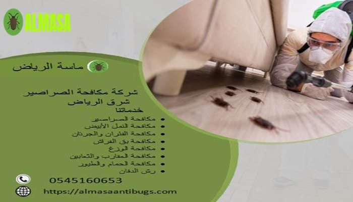 شركة مكافحة الصراصير شرق الرياض 0545160653