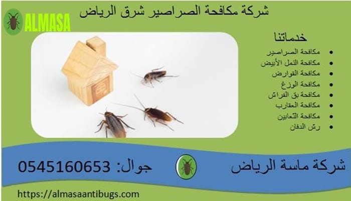 شركة مكافحة الصراصير شرق الرياض 0545160653