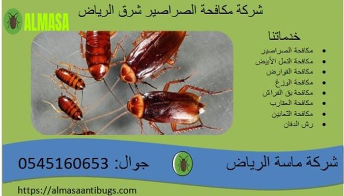 شركة مكافحة الصراصير شرق الرياض 0545160653