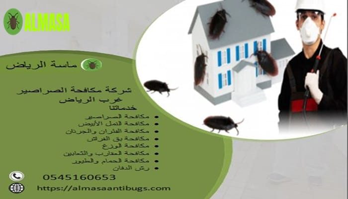 شركة مكافحة الصراصير غرب الرياض 0545160653