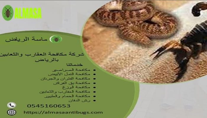 شركة مكافحة العقارب والثعابين بالرياض| 0545160653