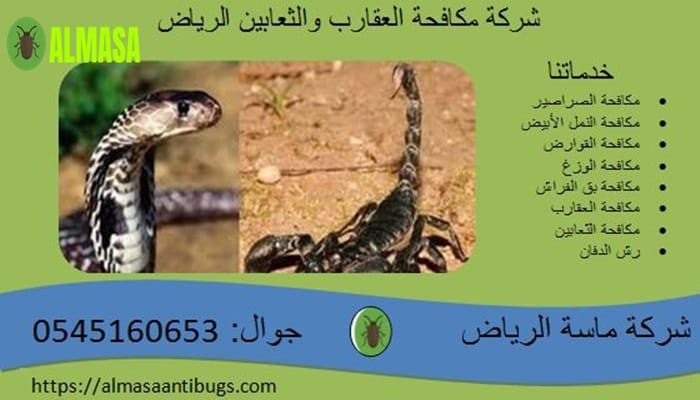 شركة مكافحة العقارب والثعابين بالرياض| 0545160653 شركة مكافحة العقارب والثعابين بالرياض| 0545160653