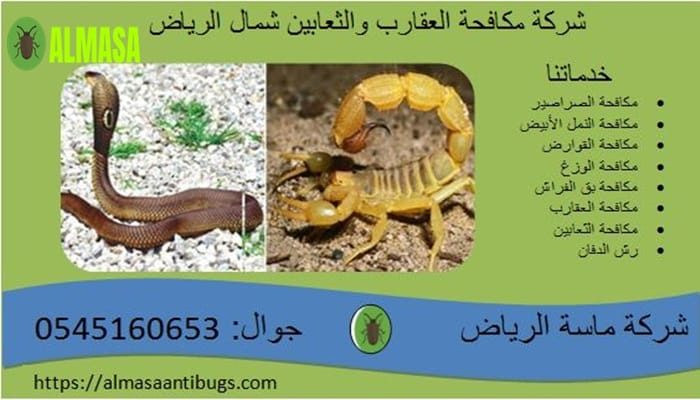 شركة مكافحة العقارب والثعابين بشمال الرياض 0545160653