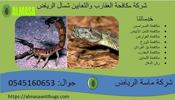 شركة مكافحة العقارب والثعابين بشمال الرياض 0545160653