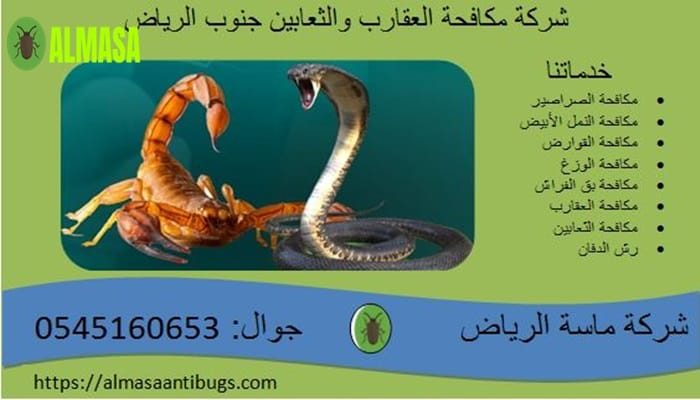 شركة مكافحة العقارب والثعابين جنوب الرياض0545160653