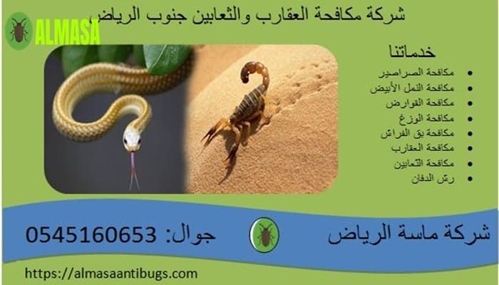 شركة مكافحة العقارب والثعابين جنوب الرياض| 0545160653