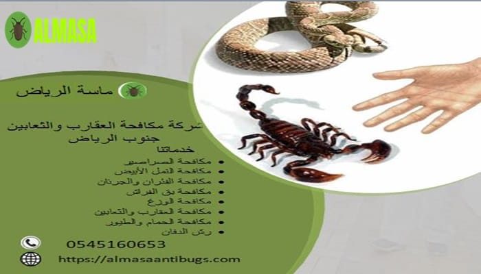 شركة مكافحة العقارب والثعابين جنوب الرياض0545160653