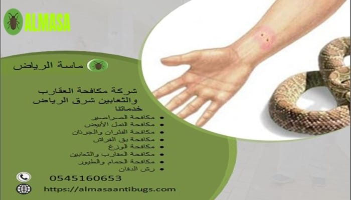 شركة مكافحة العقارب والثعابين شرق الرياض 0545160653
