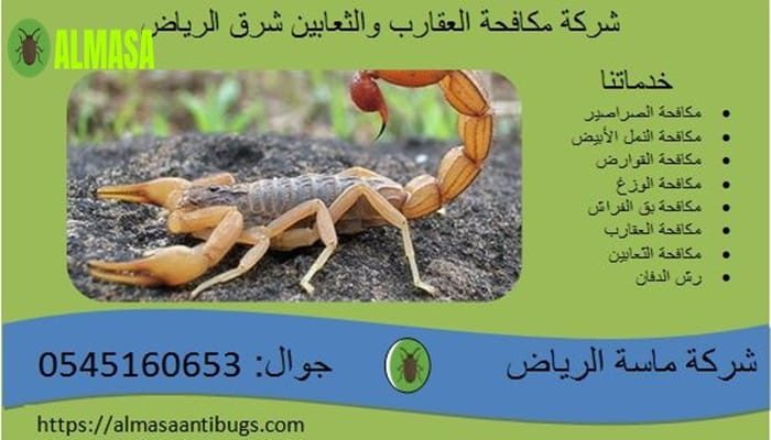 شركة مكافحة العقارب والثعابين شرق الرياض 0545160653