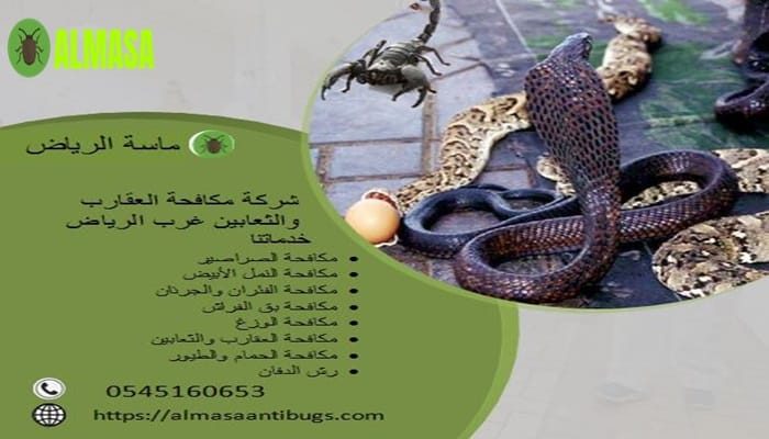 شركة مكافحة العقارب والثعابين غرب الرياض 0545160653