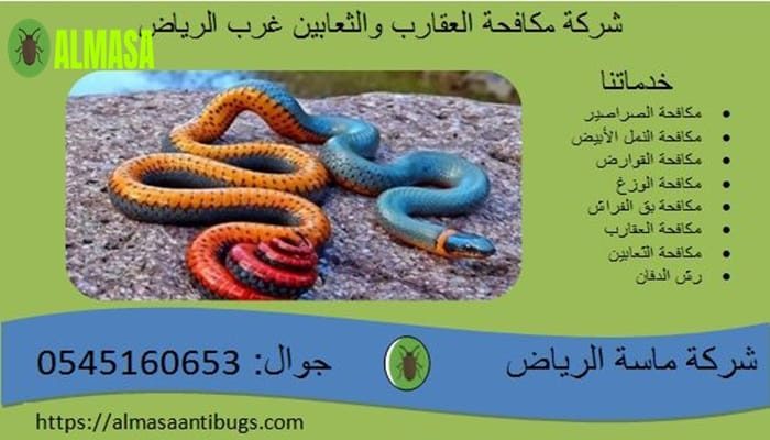 شركة مكافحة العقارب والثعابين غرب الرياض 0545160653