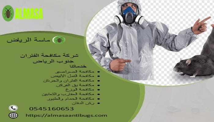 شركة مكافحة الفئران جنوب الرياض 0545160653