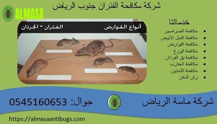 شركة مكافحة الفئران جنوب الرياض 0545160653