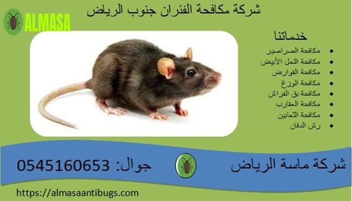 شركة مكافحة الفئران جنوب الرياض 0545160653