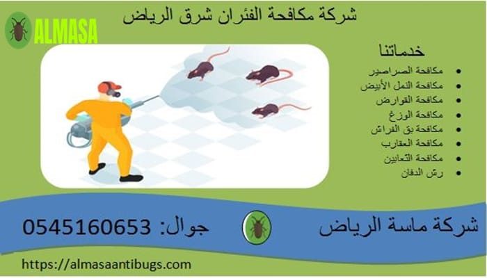 شركة مكافحة الفئران شرق الرياض 0545160653