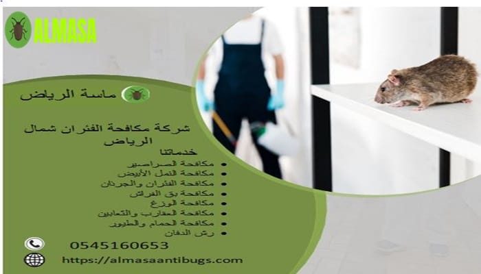 شركة مكافحة الفئران شمال الرياض| 0545160653