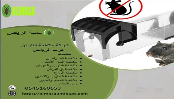 شركة مكافحة الفئران غرب الرياض 0545160653